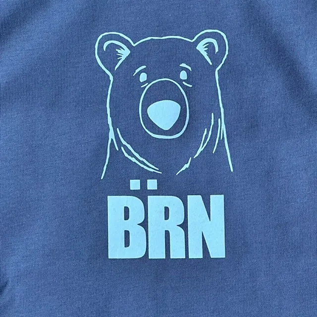Nahaufnahme des hellblauen Bärenkopfs mit Bärn-Schriftzug auf blauem Stoff